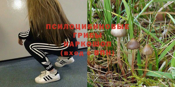 мяу мяу мука Аркадак