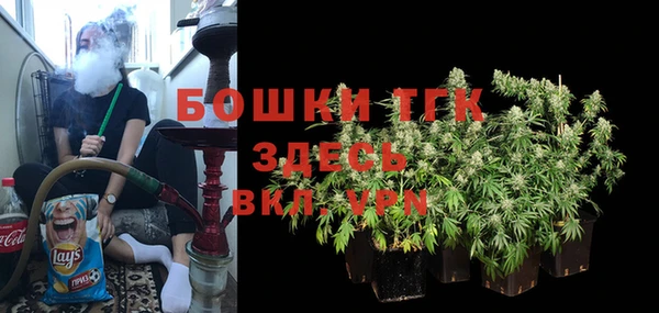 эйфоретик Арсеньев