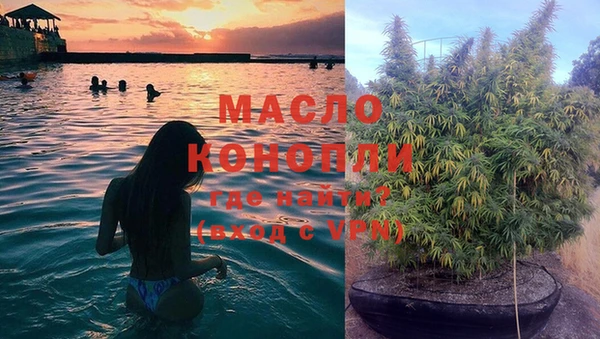 мяу мяу мука Аркадак